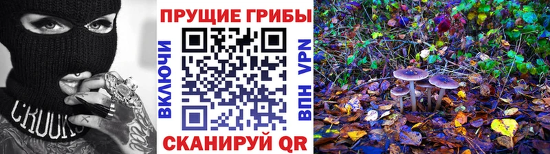 Псилоцибиновые грибы прущие грибы  Купить закладки  Муравленко 